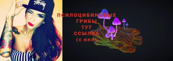 бутират Белокуриха