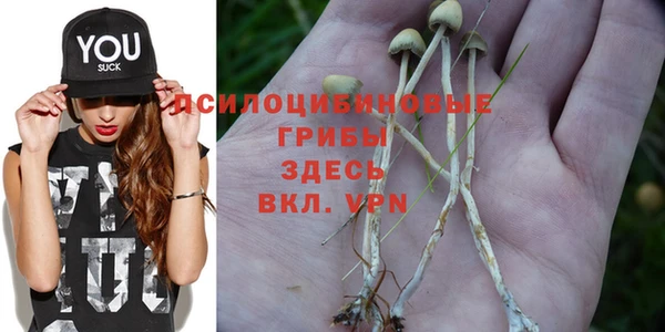 бутират Белокуриха