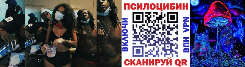 Галлюциногенные грибы мицелий  Светогорск 